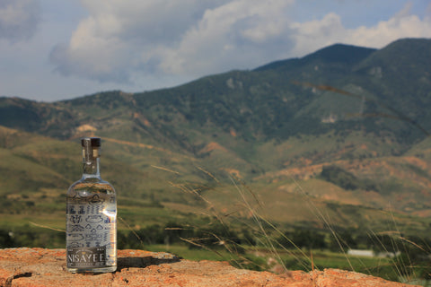Mezcal Minero, una historia que contar