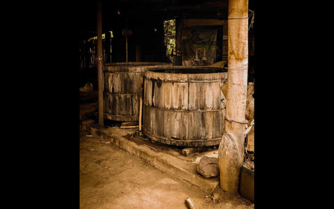 El palenque oaxaqueño