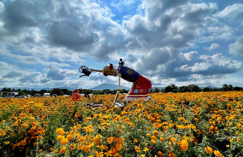 La travesía del alma al Mictlán